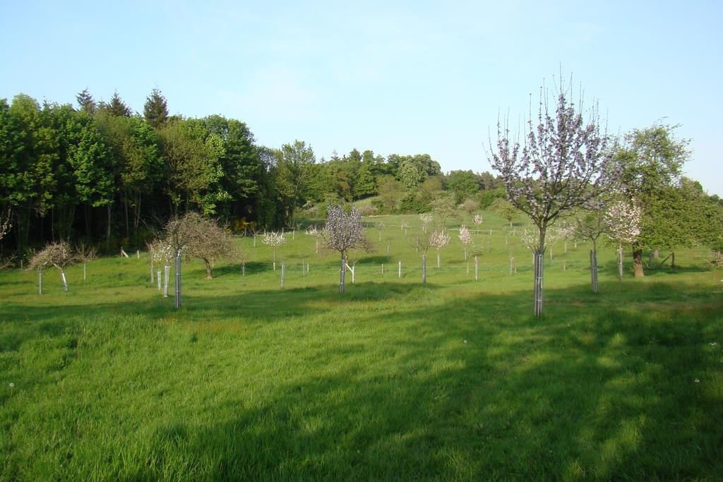 Gite De La Cour Campandré-Valcongrain Zimmer foto